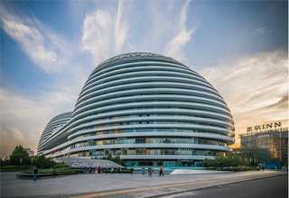 长春新阳光玫瑰葡萄苗的价格